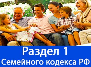 раздел 1 семейного кодекса РФ